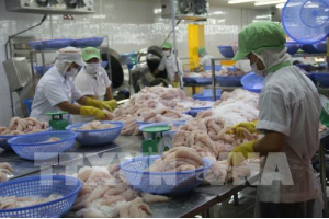 Hàng hóa trong nước có đủ sức cạnh tranh với hàng nhập từ ASEAN?