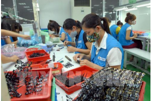 Thu hút FDI tại Tp. Hồ Chí Minh: Dẫn đầu cả nước nhưng tỷ trọng giảm sút