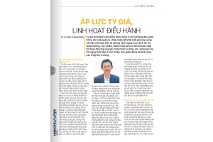 Linh hoạt tỷ giá, củng cố niềm tin