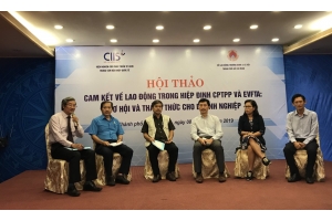 Chiến lược kinh doanh đảm bảo tuân thủ về cam kết lao động trong các Hiệp định thương mại tự do thế 