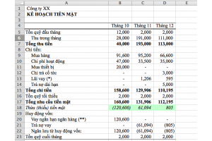THỰC HÀNH XÂY DỰNG DÒNG TIỀN, KẾ HOẠCH NGÂN SÁCH (LỚP CFO, NGÀY 4,6/11/2019)