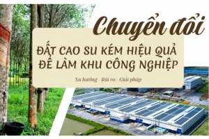 Chuyển đổi đất cao su kém hiệu quả để làm khu công nghiệp tại khu vực Đông Nam Bộ