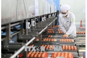 Đổi mới công nghệ là giải pháp sống còn của doanh nghiệp